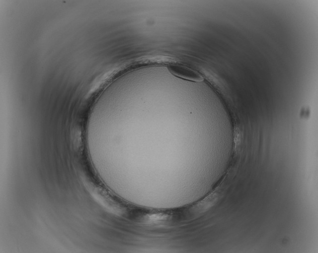 X0000111810158200908131507