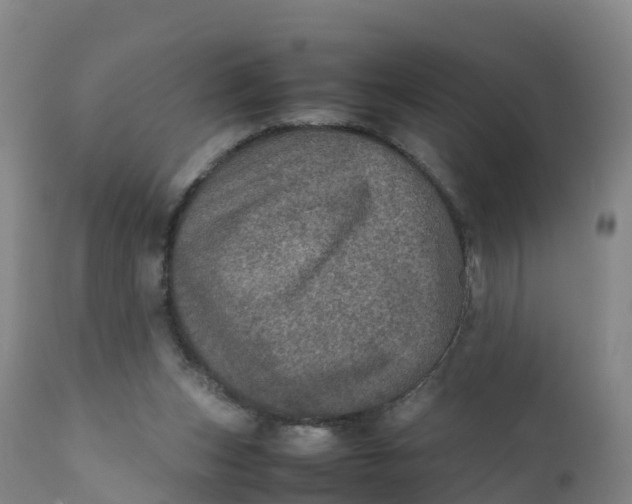 X0000111810159200908131507