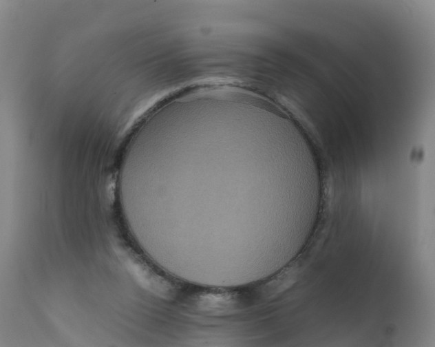 X0000111810160200908131507