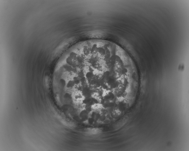 X0000111810161200908131507