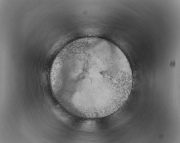 X0000111810162200908131507