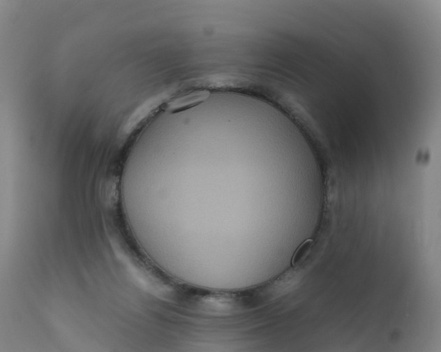 X0000111810164200908131507