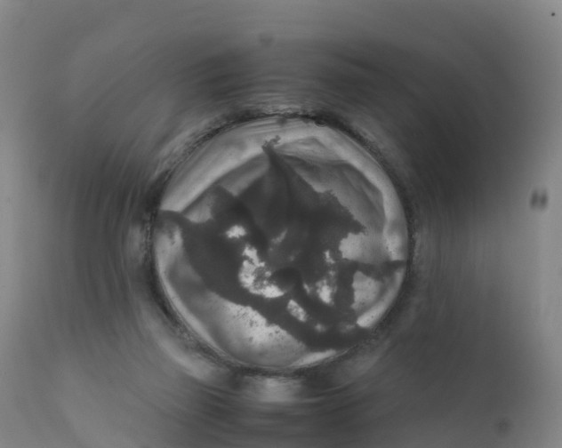 X0000111810165200908131507