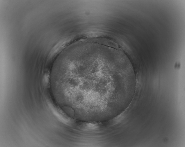 X0000111810166200908131507