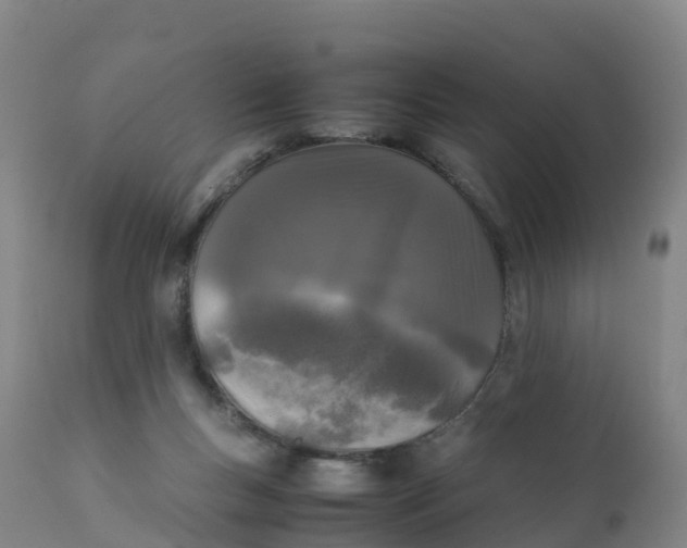 X0000111810167200908131507