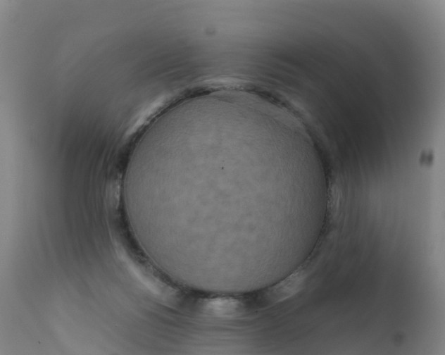 X0000111810168200908131507