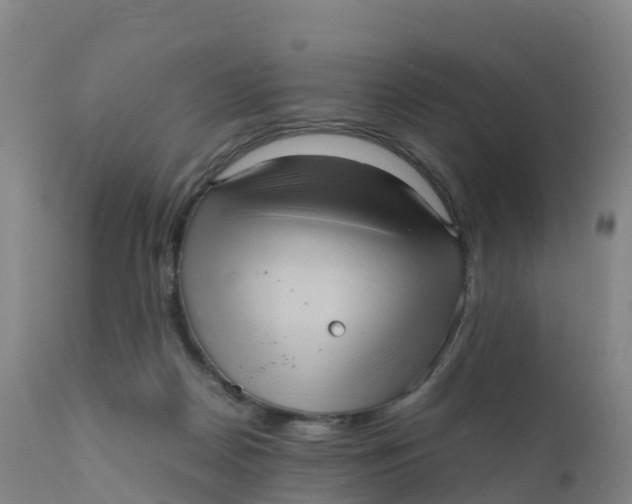 X0000111810170200908131507