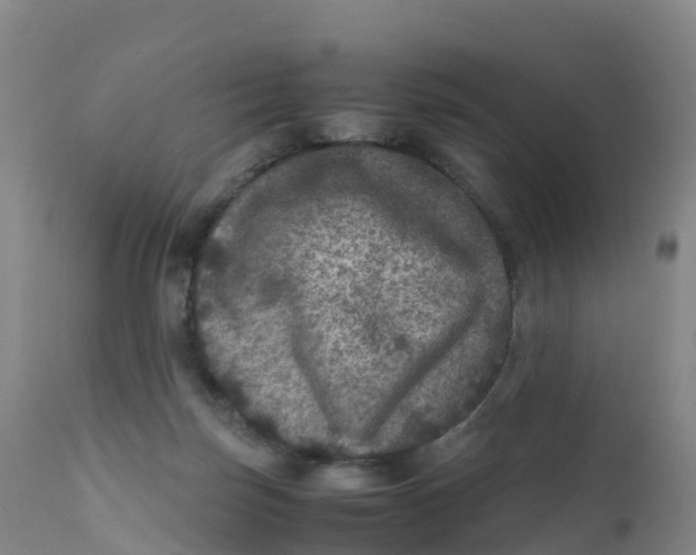 X0000111810171200908131507