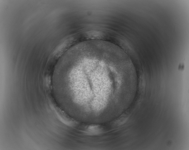 X0000111810173200908131507