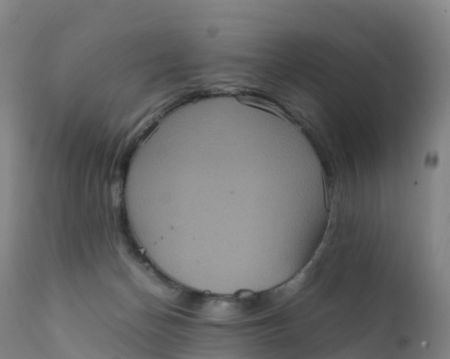 X0000111810174200908131507