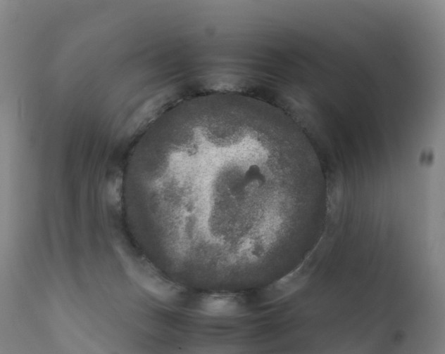 X0000111810175200908131508