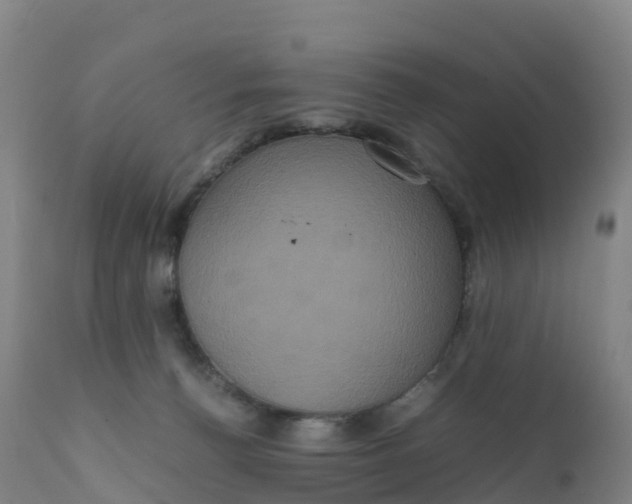 X0000111810176200908131508