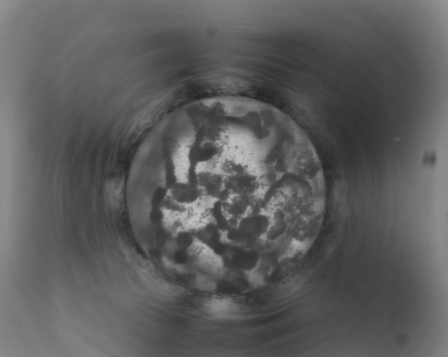 X0000111810177200908131508