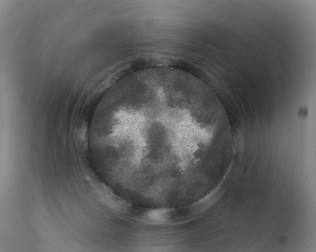 X0000111810178200908131508