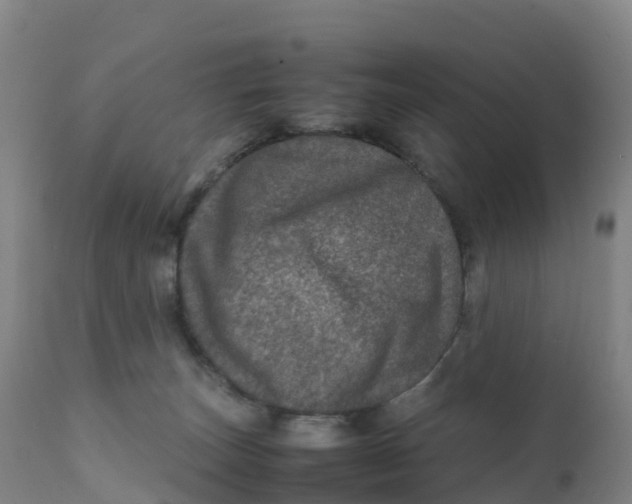 X0000111810179200908131508