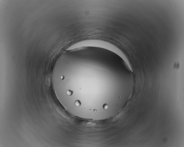 X0000111810180200908131508