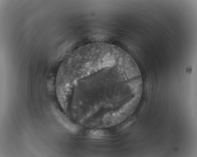 X0000111810181200908131508