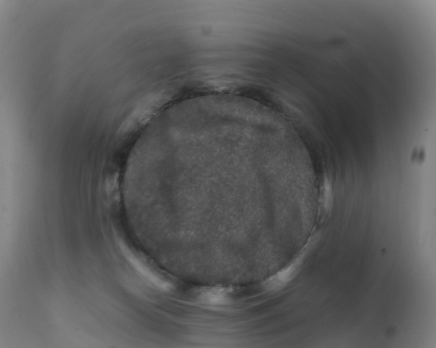 X0000111810182200908131508