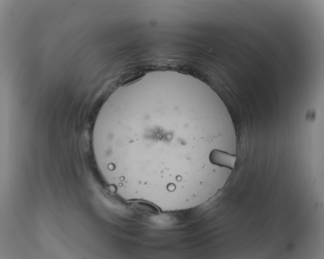 X0000111810183200908131508