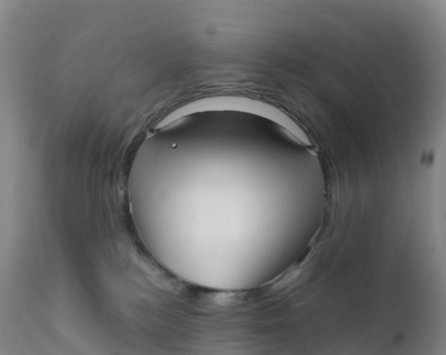 X0000111810184200908131508