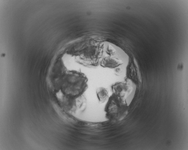 X0000111810185200908131508