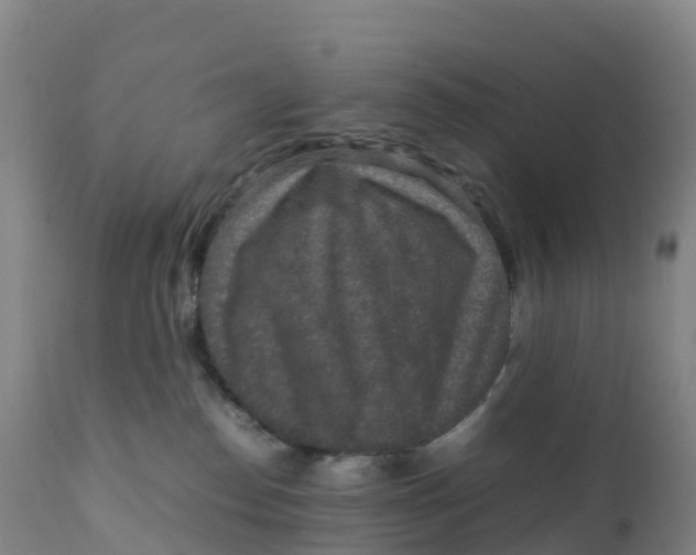 X0000111810186200908131508