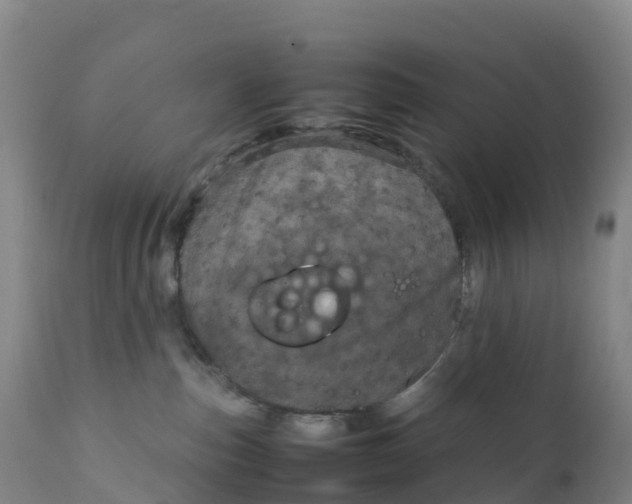 X0000111810187200908131508