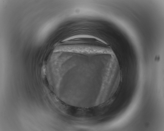X0000111810190200908131508