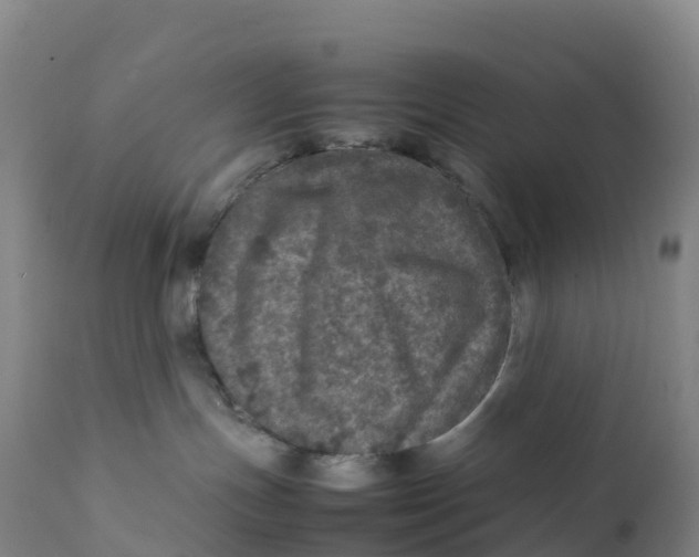 X0000111810191200908131508
