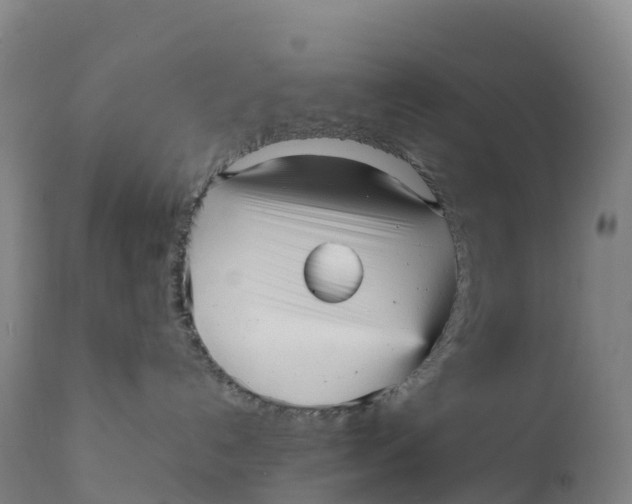 X0000111810192200908131508
