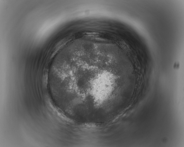 X0000111810194200908131507