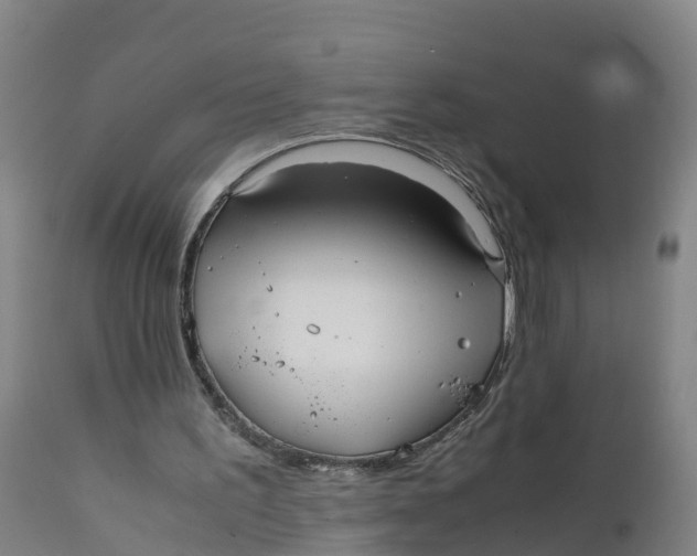 X0000111810195200908131507
