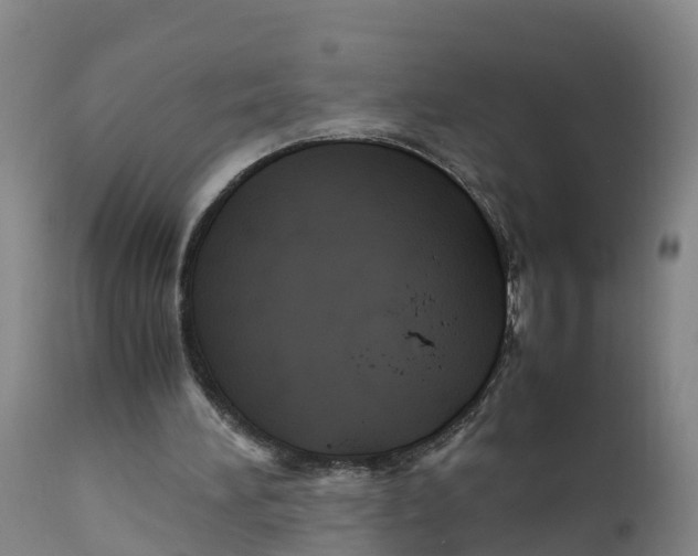 X0000111810196200908131507