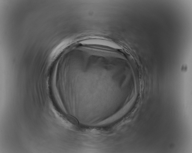 X0000111810197200908131507