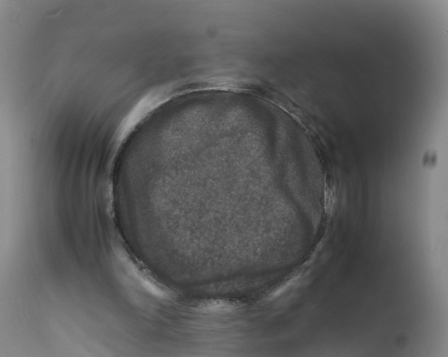 X0000111810198200908131507