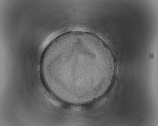 X0000111810199200908131507