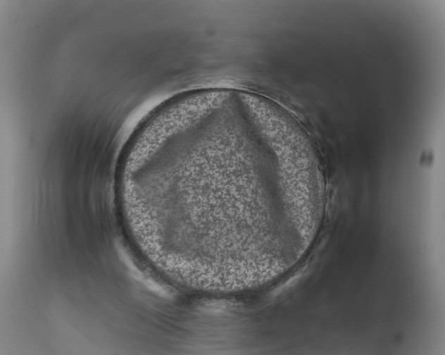 X0000111810200200908131507