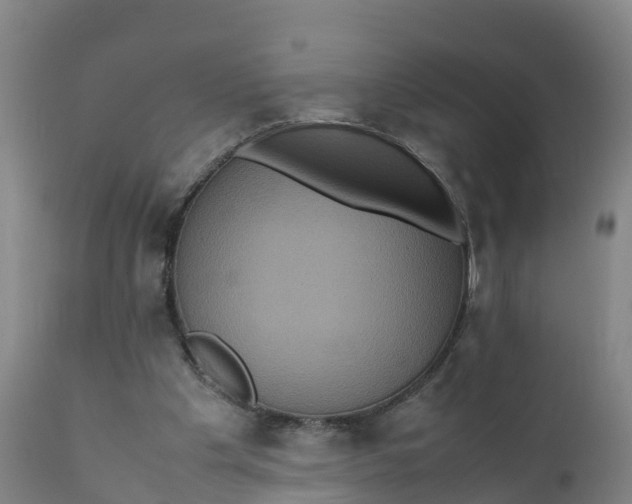 X0000111810201200908131507