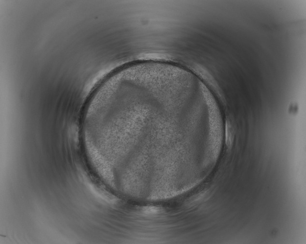 X0000111810204200908131507