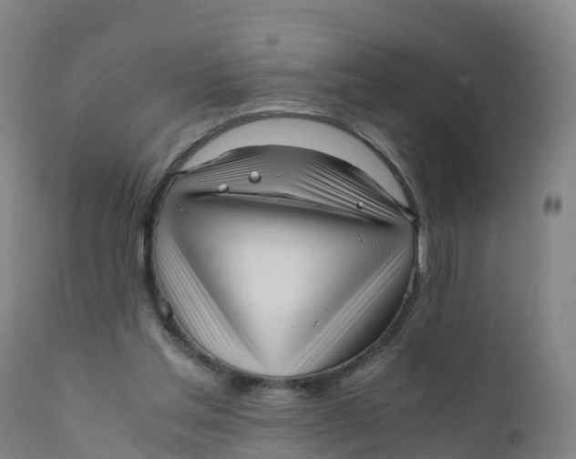 X0000111810205200908131507