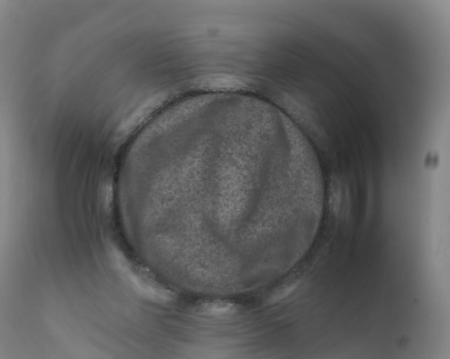X0000111810206200908131507