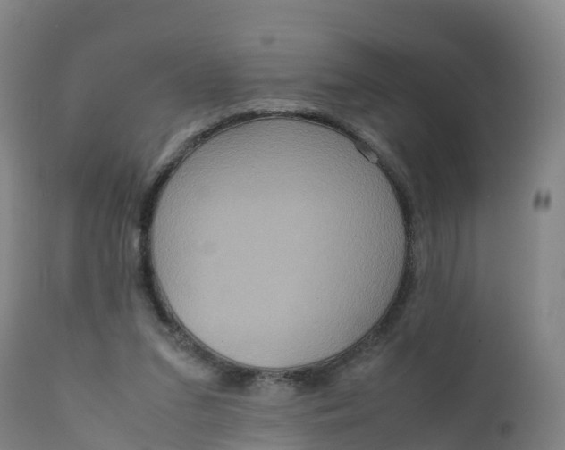 X0000111810207200908131507