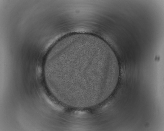 X0000111810208200908131507