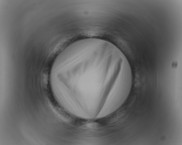 X0000111810210200908131507