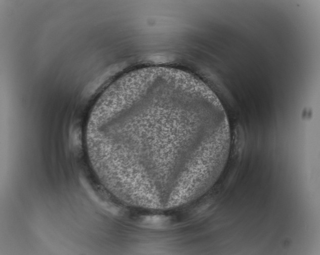 X0000111810212200908131507