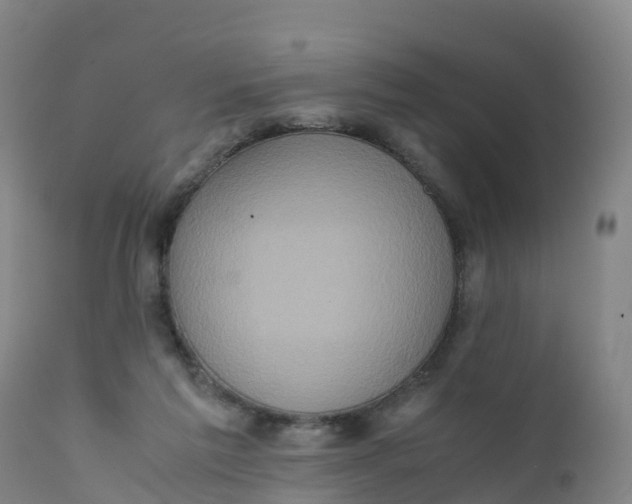 X0000111810213200908131507