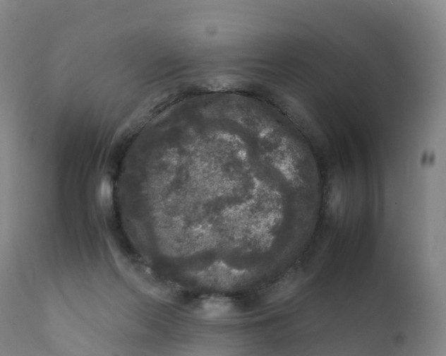 X0000111810214200908131507