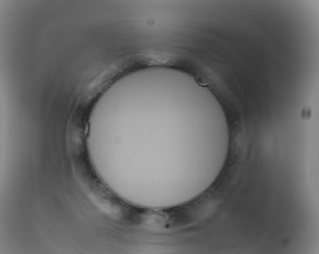 X0000111810215200908131507