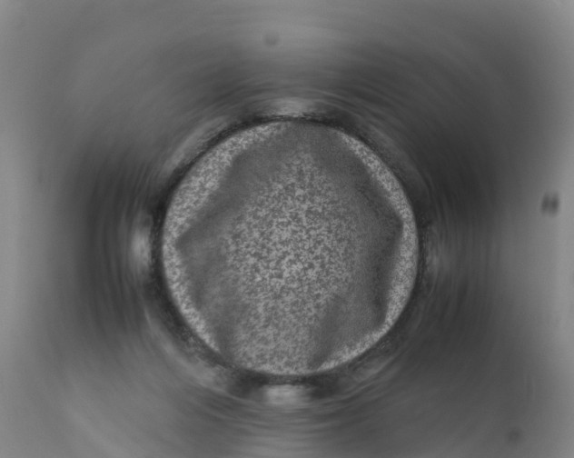 X0000111810216200908131507