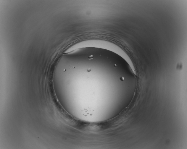 X0000111810217200908131507
